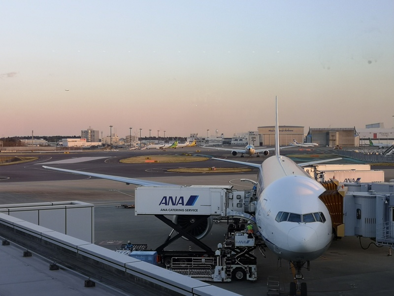 flyanahnd21 201903台北東京 全日空 最後一次白金會員...謝謝ANA