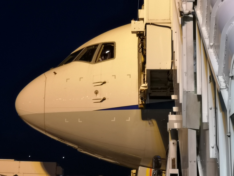 flyanahnd25 201903台北東京 全日空 最後一次白金會員...謝謝ANA