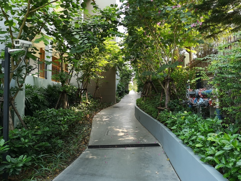 renaissancepattaya6141 Pattaya-Renaissance Pattaya Resort & Spa芭達雅萬麗 悠閒度假無邊際游泳池好舒爽