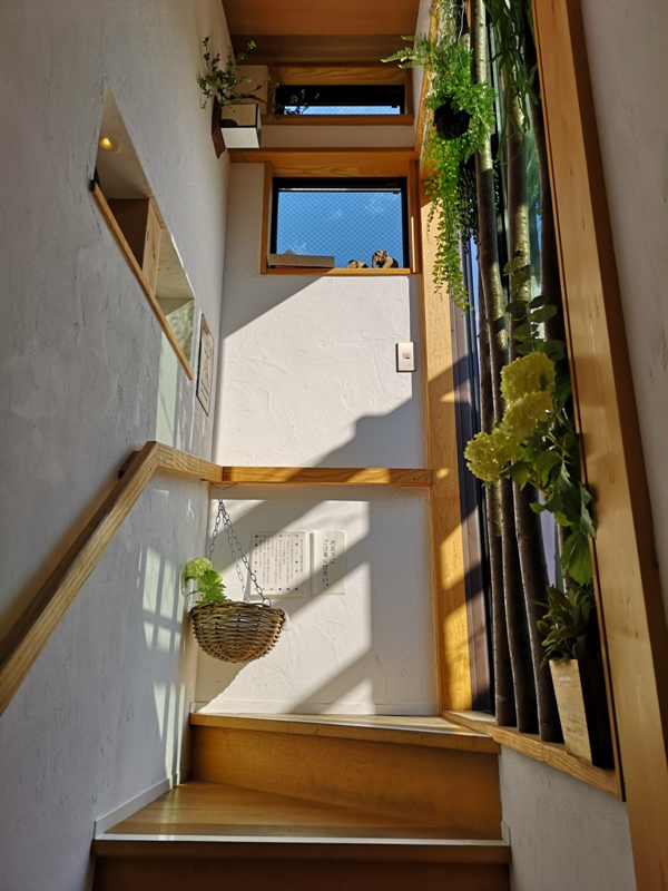 sakurakitchencafe07 Komagome-駒込站旁(染井吉野櫻發祥地) 冬日暖陽飲咖啡看電車 桜Sakura Kitchen Cafe