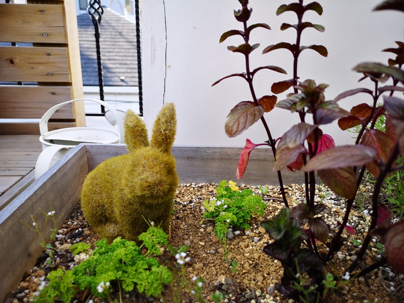 sakurakitchencafe12 Komagome-駒込站旁(染井吉野櫻發祥地) 冬日暖陽飲咖啡看電車 桜Sakura Kitchen Cafe