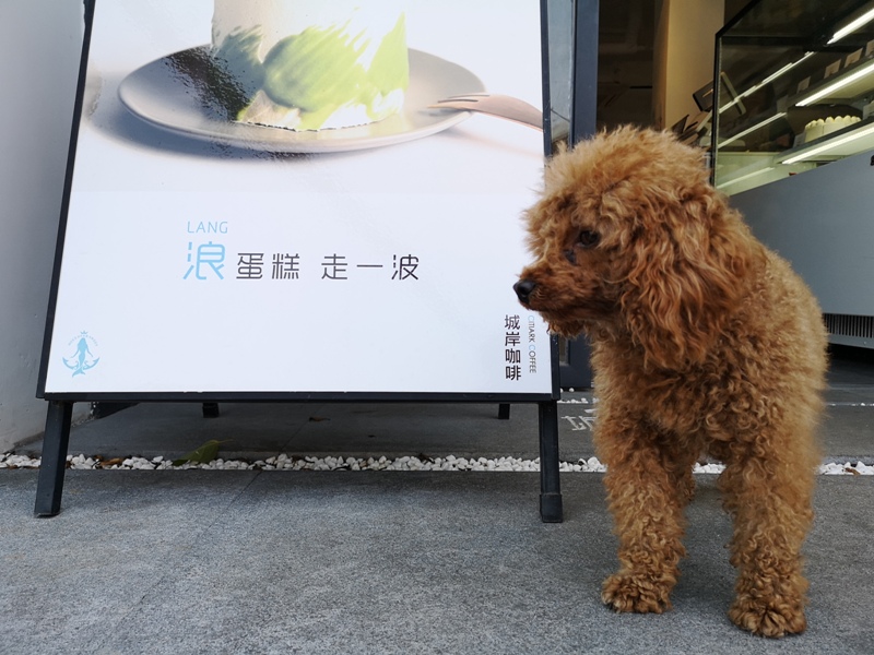 citiarkcoffee06 Kulangsu-鼓浪嶼Citiark城岸咖啡 紅瓦綠意 老建築新風貌 來一杯咖啡品鼓浪嶼的潮