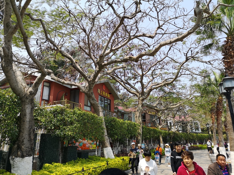 kulangsuuu13 Kulangsu-鼓浪嶼 中國最美的城區 距離台灣最近的世界文化遺產