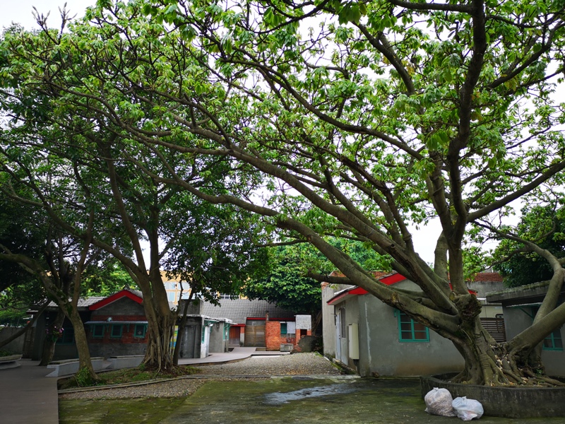 matsu05 中壢-馬祖新村 老眷村新風貌 感受50年代的美好記憶