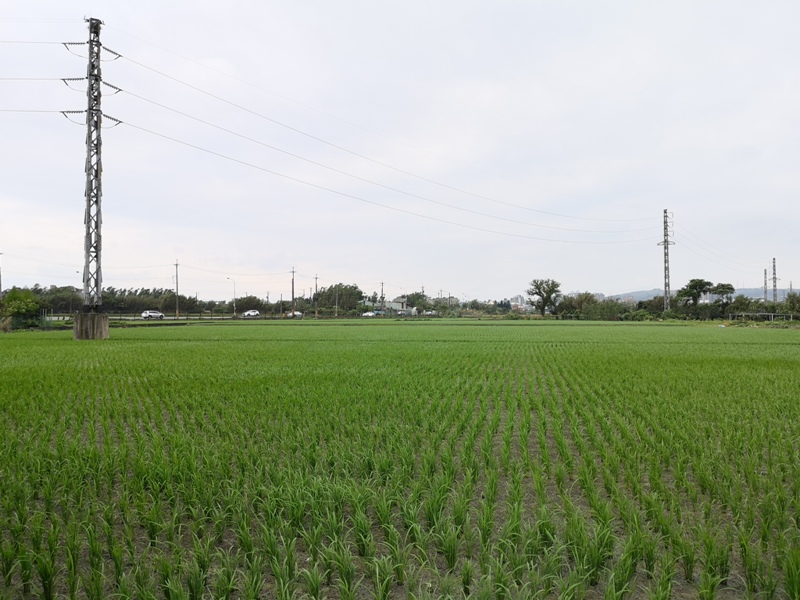 rainydayreading15 平鎮-晴耕雨讀小書院 與自然共舞感受濃厚人文氣息的書店(搬家倒計時)