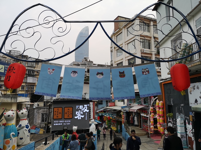 shapowei38 Xiamen-廈門也文青 沙坡尾藝術西區與貓街 好好拍!!!