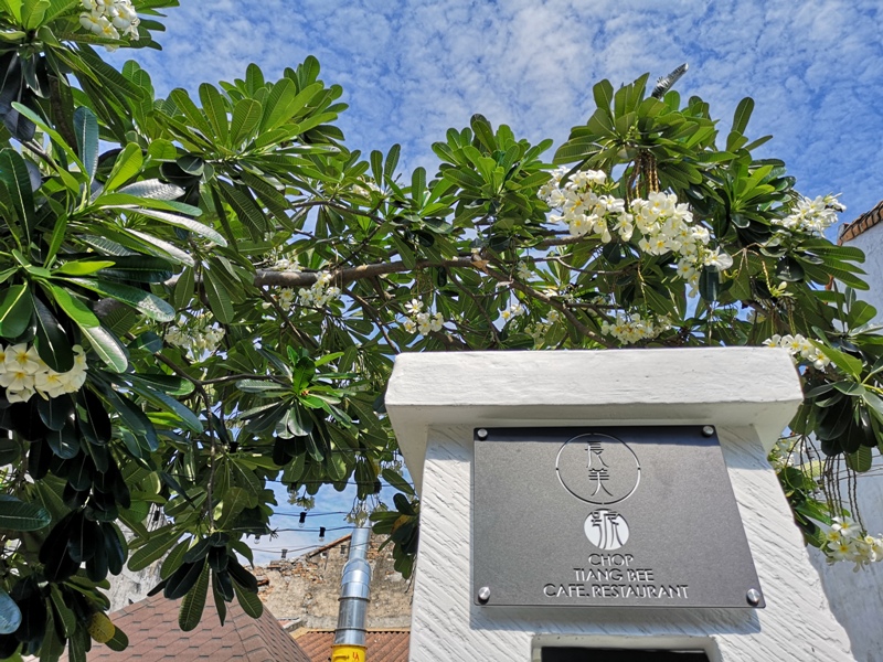 Malacca-Chop Tiang Bee Cafe 長美號(馬六甲雞場街) 南洋度假風超美咖啡館