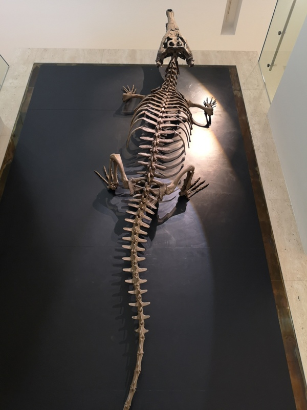 hanamaru09 Tokyo-超人氣旋轉壽司 根室花まる KITTE很好逛有博物館也有空中花園拍東京車站