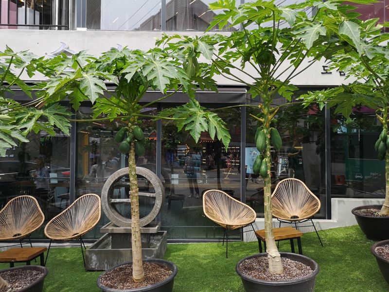 cafeel19 Seoul-Cafe El Cielo 男模幫你沖咖啡 首爾新沙洞時尚夢幻咖啡館