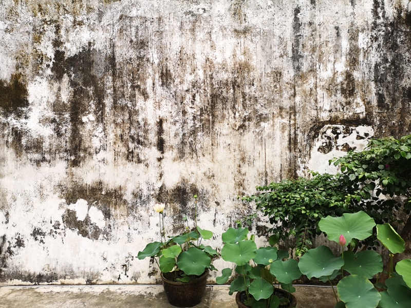 chenghouse04 Macao-澳門歷史城區 世界文化遺產 媽閣廟/亞婆井前地/鄭家大院 順道看最美的海景在主教山教堂