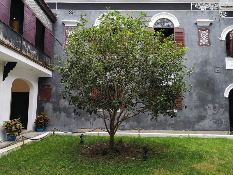 chenghouse10 Macao-澳門歷史城區 世界文化遺產 媽閣廟/亞婆井前地/鄭家大院 順道看最美的海景在主教山教堂