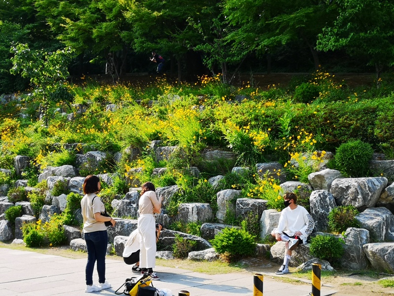 ewhau05 Seoul-梨花女子大學 韓國名校首爾必訪 優雅美麗的校園景色慢慢逛