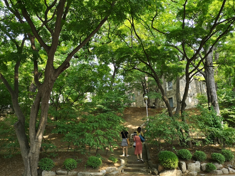 ewhau21 Seoul-梨花女子大學 韓國名校首爾必訪 優雅美麗的校園景色慢慢逛