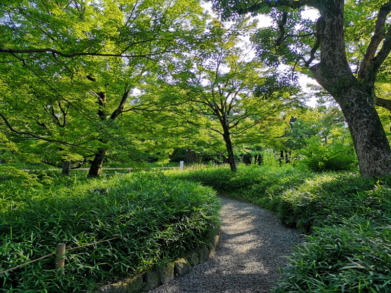 byodoin20 Uji-世界文化遺產 宇治平等院...尋找日幣中的密碼 鳳凰堂中金鳳凰
