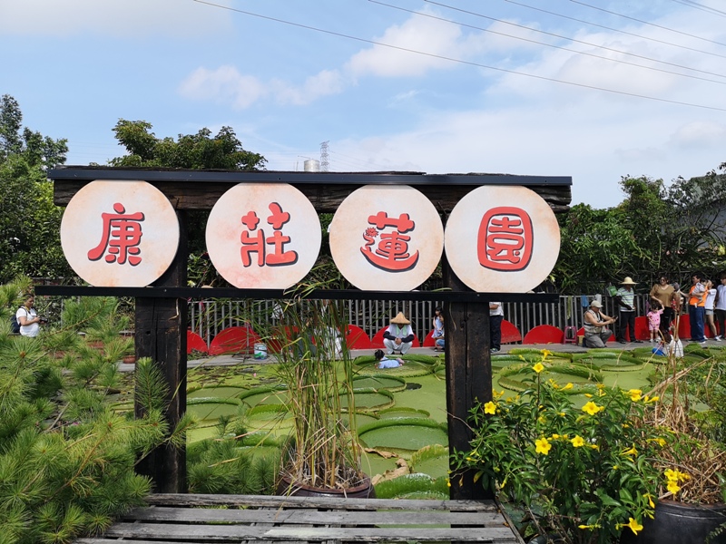 kinglotus01 觀音-康莊蓮園 乘坐大王蓮體驗漂浮