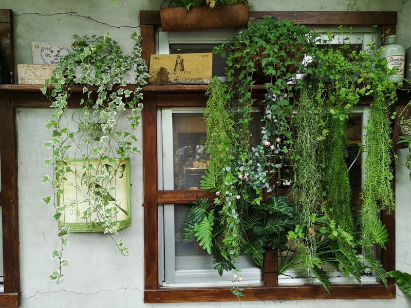 redbrick15 竹北-新瓦屋紅瓦紫藤 在花園也是花園的超綠意咖啡館