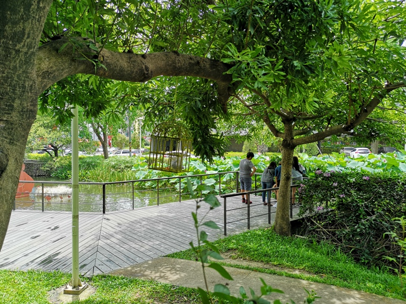 redbrick17 竹北-新瓦屋紅瓦紫藤 在花園也是花園的超綠意咖啡館