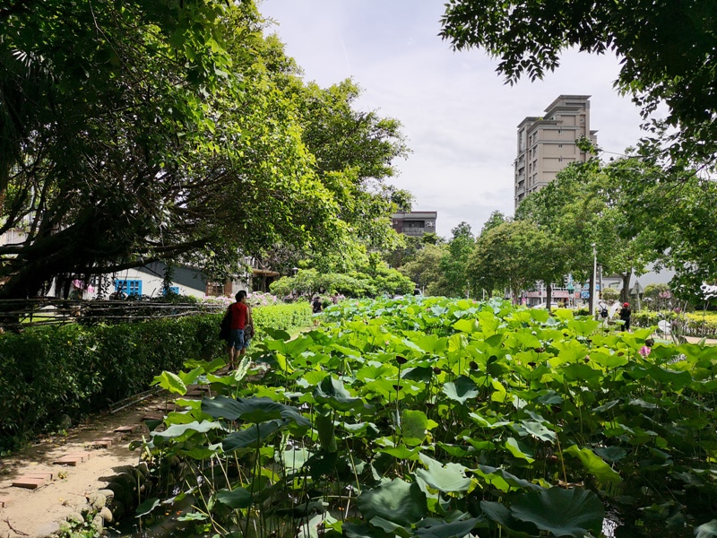 redbrick19 竹北-新瓦屋紅瓦紫藤 在花園也是花園的超綠意咖啡館