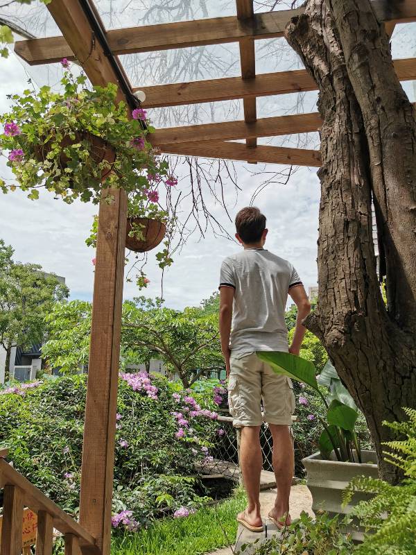 redbrick21 竹北-新瓦屋紅瓦紫藤 在花園也是花園的超綠意咖啡館