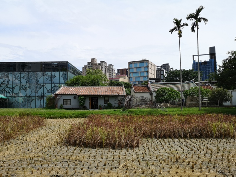 redbrick24 竹北-新瓦屋紅瓦紫藤 在花園也是花園的超綠意咖啡館