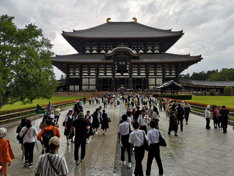 todaiji04 Nara-奈良小旅遊 世界文化遺產 東大寺&春日大社 搶食仙貝的小鹿亂撞