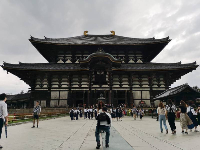 Nara-奈良小旅遊 世界文化遺產 東大寺&春日大社 搶食仙貝的小鹿亂撞