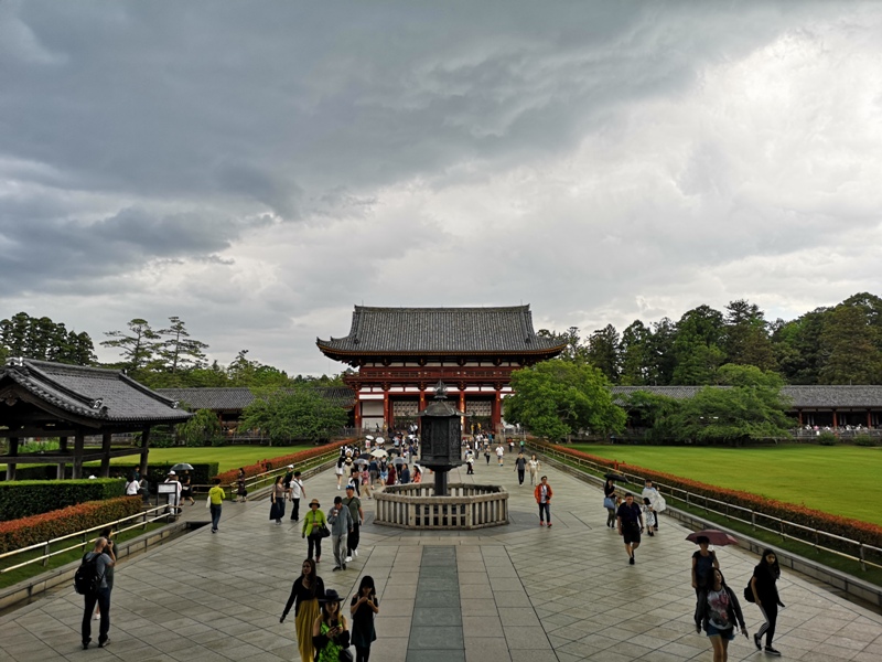 todaiji07 Nara-奈良小旅遊 世界文化遺產 東大寺&春日大社 搶食仙貝的小鹿亂撞