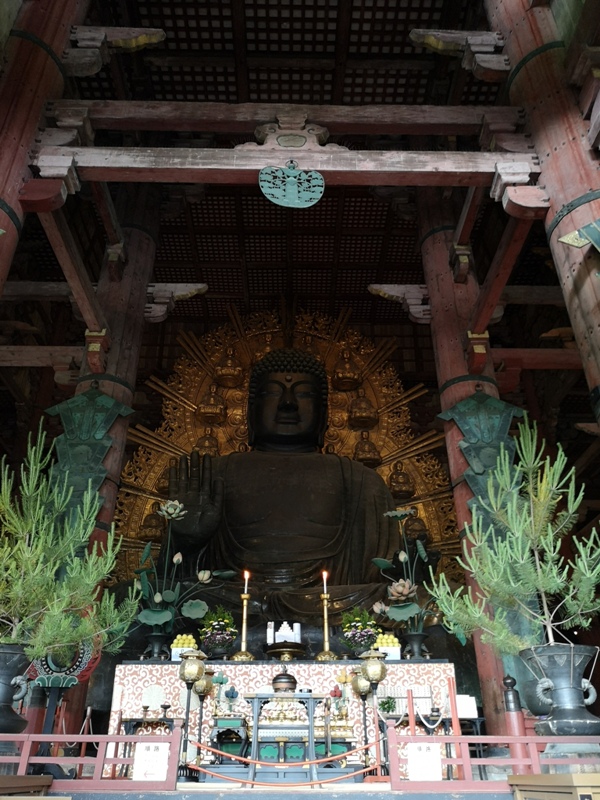 todaiji09 Nara-奈良小旅遊 世界文化遺產 東大寺&春日大社 搶食仙貝的小鹿亂撞