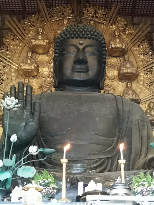 todaiji10 Nara-奈良小旅遊 世界文化遺產 東大寺&春日大社 搶食仙貝的小鹿亂撞