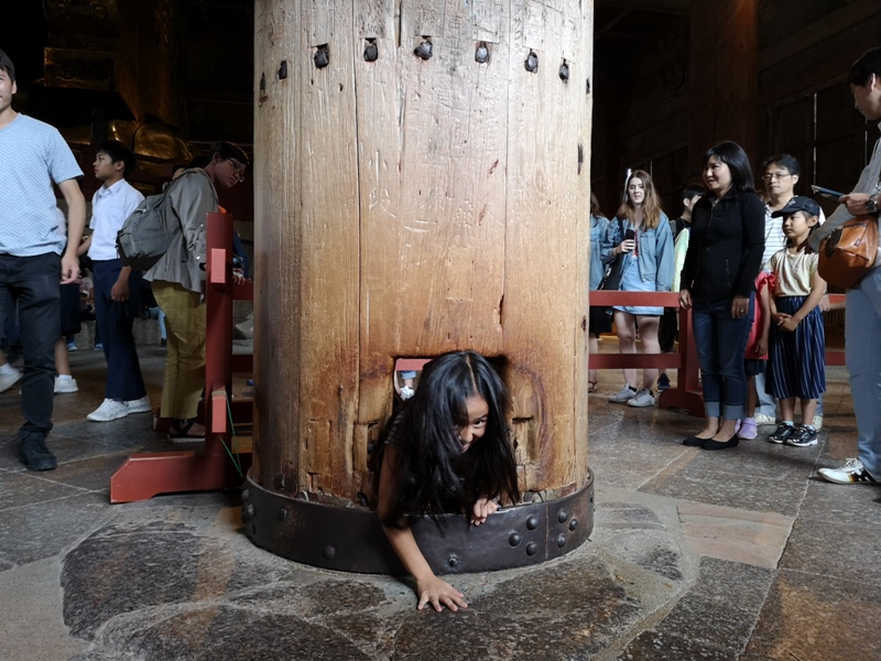 todaiji19 Nara-奈良小旅遊 世界文化遺產 東大寺&春日大社 搶食仙貝的小鹿亂撞