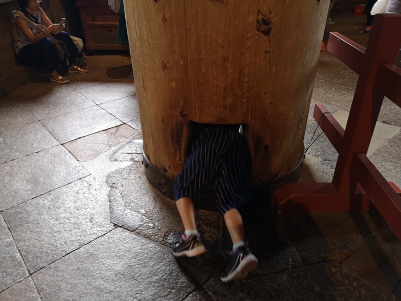 todaiji20 Nara-奈良小旅遊 世界文化遺產 東大寺&春日大社 搶食仙貝的小鹿亂撞