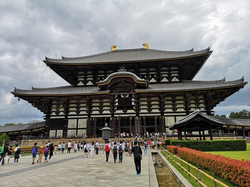 todaiji22 Nara-奈良小旅遊 世界文化遺產 東大寺&春日大社 搶食仙貝的小鹿亂撞