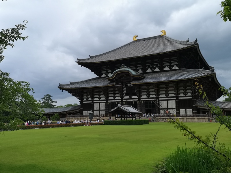 todaiji23 Nara-奈良小旅遊 世界文化遺產 東大寺&春日大社 搶食仙貝的小鹿亂撞