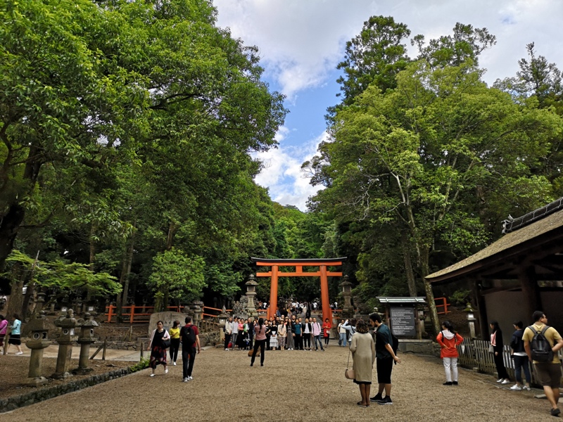 todaiji37 Nara-奈良小旅遊 世界文化遺產 東大寺&春日大社 搶食仙貝的小鹿亂撞