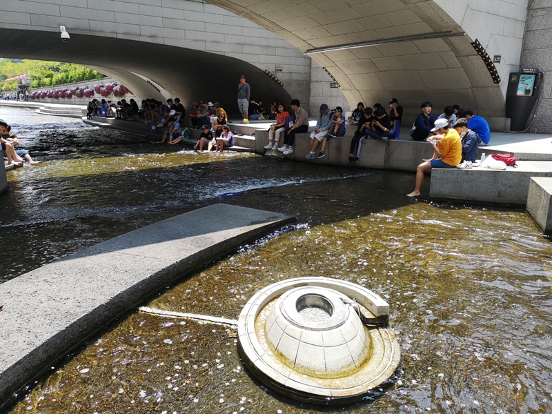 IMG_20190602_112434 Seoul-清溪川 首爾市區的一股清流 忙碌城市生活中的一抹愜意