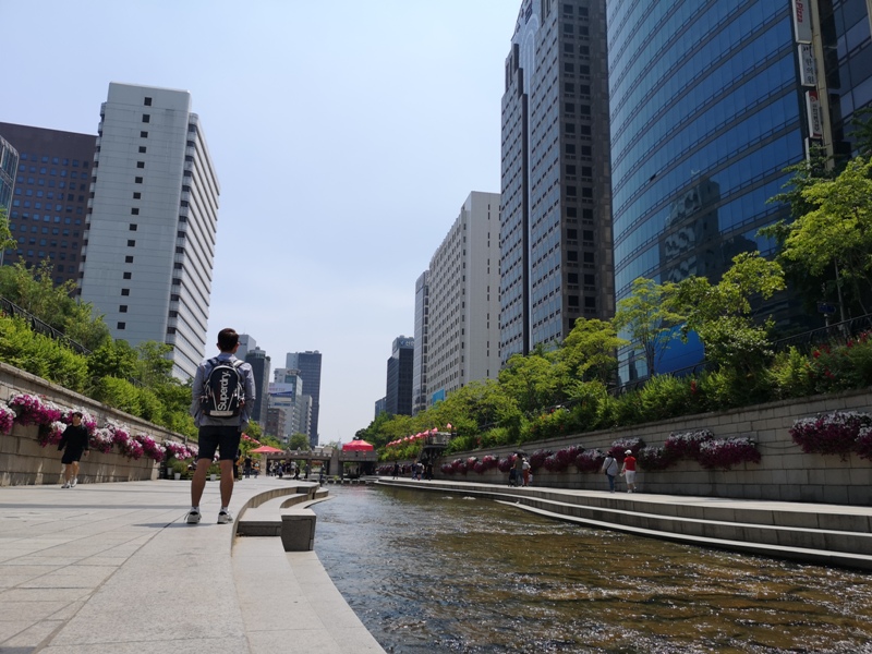 IMG_20190602_112911 Seoul-清溪川 首爾市區的一股清流 忙碌城市生活中的一抹愜意