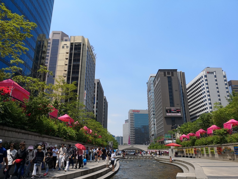 IMG_20190602_113753 Seoul-清溪川 首爾市區的一股清流 忙碌城市生活中的一抹愜意