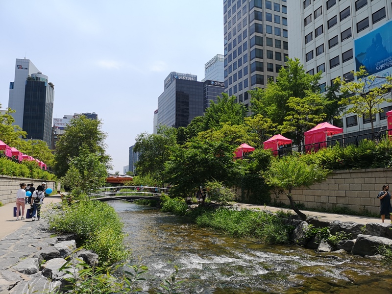 IMG_20190602_114903 Seoul-清溪川 首爾市區的一股清流 忙碌城市生活中的一抹愜意