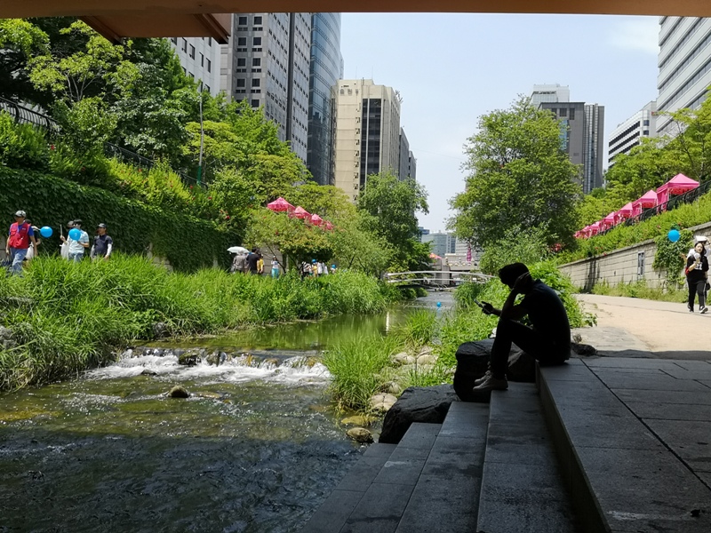 IMG_20190602_115133 Seoul-清溪川 首爾市區的一股清流 忙碌城市生活中的一抹愜意