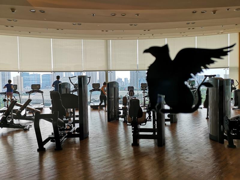 JWmarriotthanoi15217443 Hanoi-JW Marriott Hanoi川普歐巴馬習近平文在寅都住過的河內JW萬豪