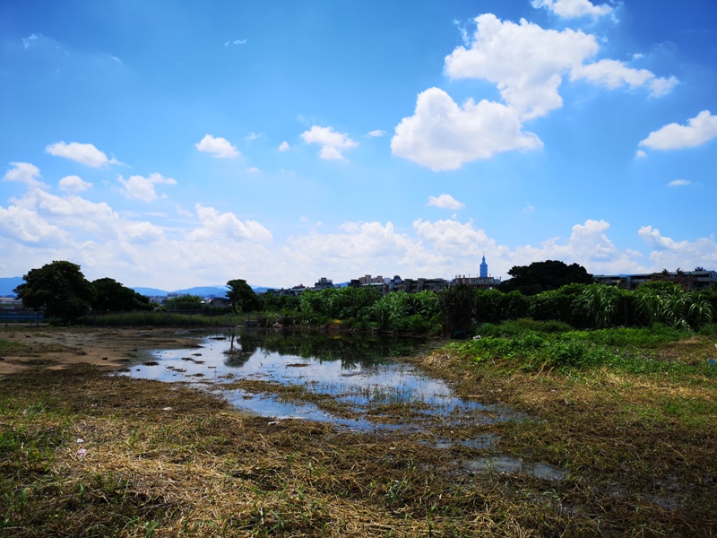 airplaneshoot06 中山-飛機巷(濱江街180巷)賞飛機...臨場感十足的賞機熱點