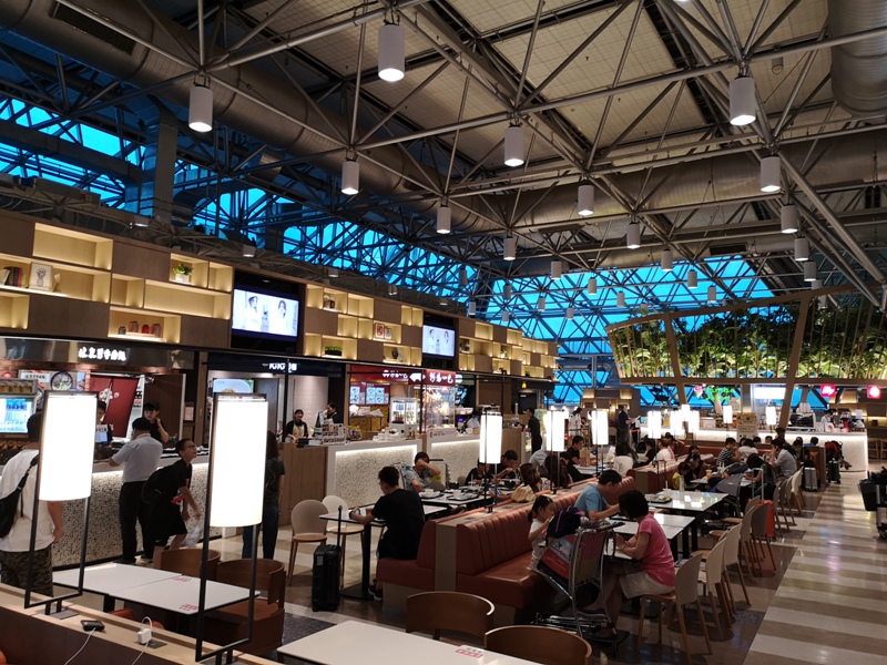 flyhkg05 201908敏感時刻香港行 香港加油