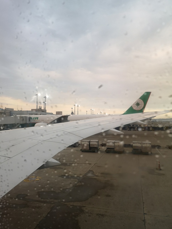 flyhkg07 201908敏感時刻香港行 香港加油