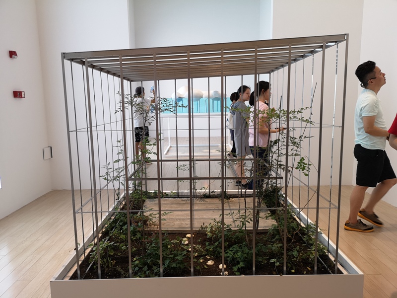 powerofart22 Shanghai-上海當代藝術博物館Power Station of Art 石上純也Free Architecture自由建築展