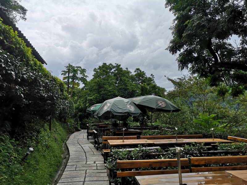 yyteahouse09 文山-貓空邀月茶坊 雨中的清涼 蛙鳴鳥叫的陪伴 一個下午的悠閒