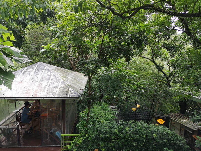 yyteahouse10 文山-貓空邀月茶坊 雨中的清涼 蛙鳴鳥叫的陪伴 一個下午的悠閒