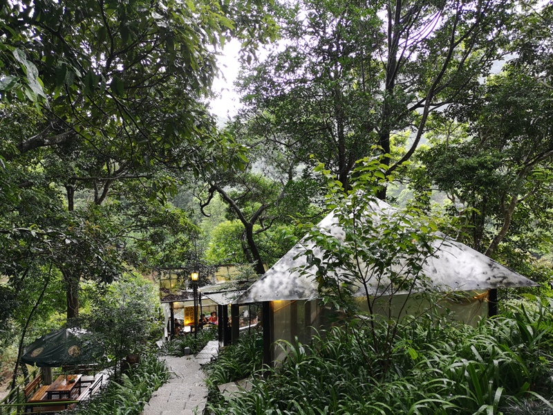 yyteahouse16 文山-貓空邀月茶坊 雨中的清涼 蛙鳴鳥叫的陪伴 一個下午的悠閒