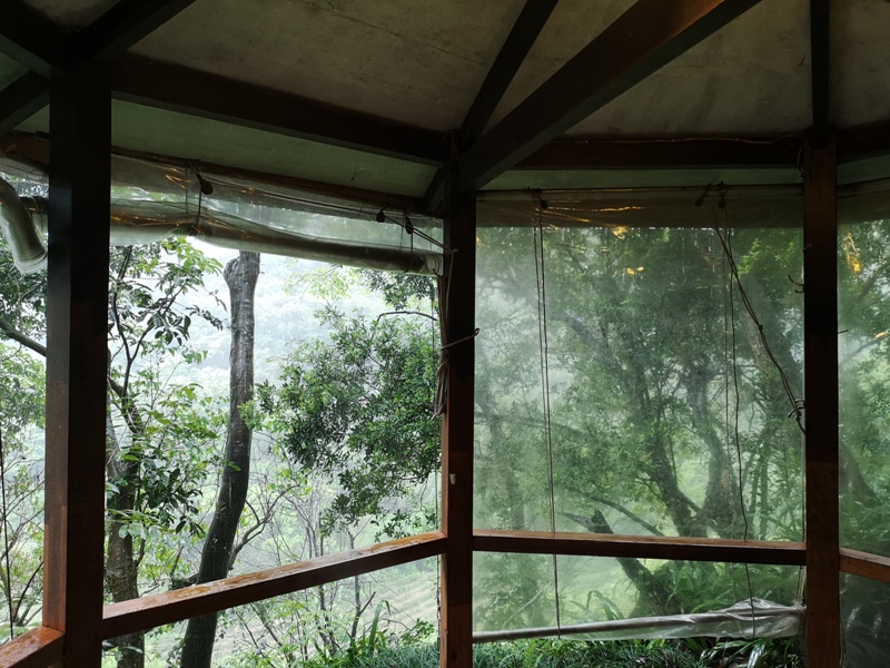 yyteahouse17 文山-貓空邀月茶坊 雨中的清涼 蛙鳴鳥叫的陪伴 一個下午的悠閒