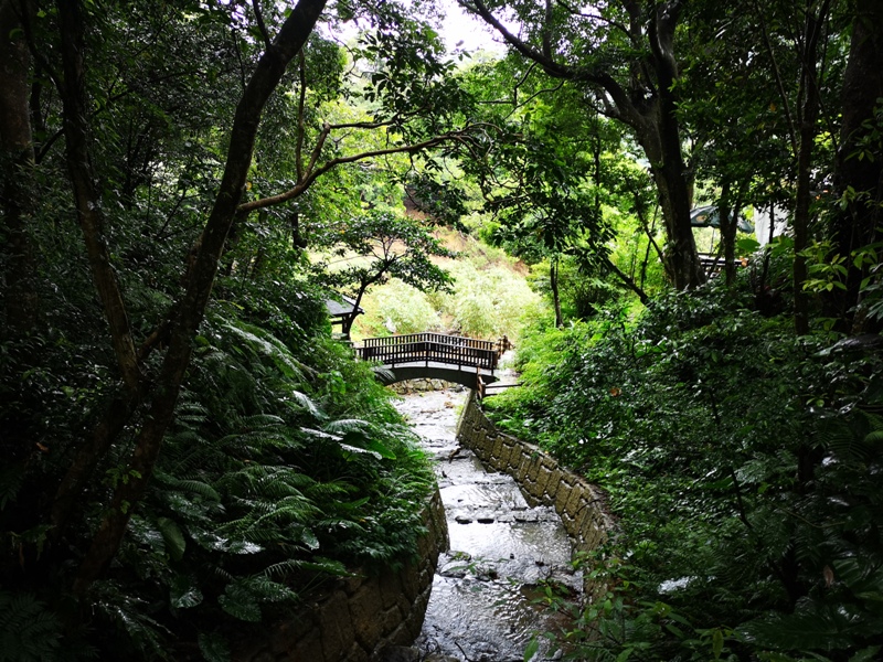 yyteahouse19 文山-貓空邀月茶坊 雨中的清涼 蛙鳴鳥叫的陪伴 一個下午的悠閒