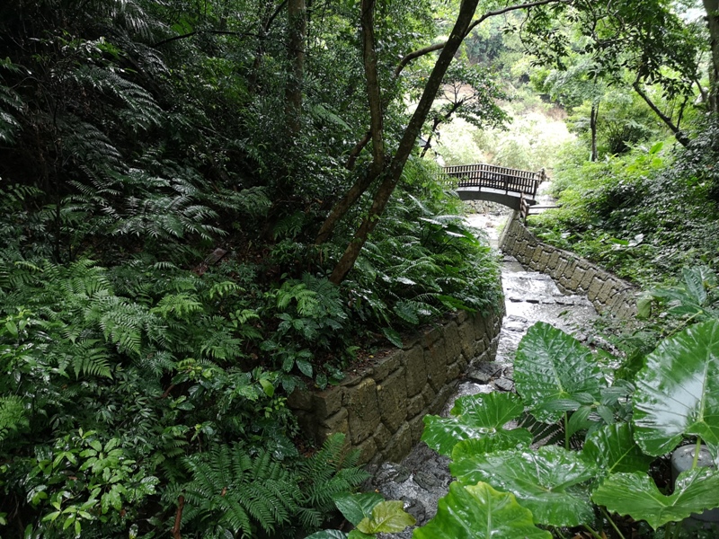 yyteahouse20 文山-貓空邀月茶坊 雨中的清涼 蛙鳴鳥叫的陪伴 一個下午的悠閒